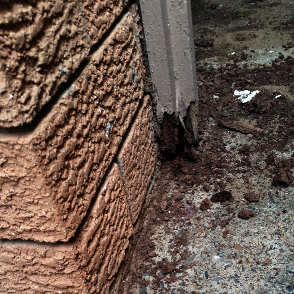 Termite Damaged Wood